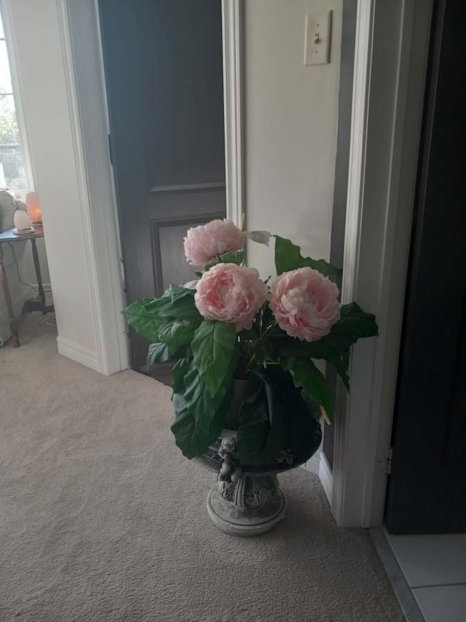 Stephannie Ann Jarrett's room