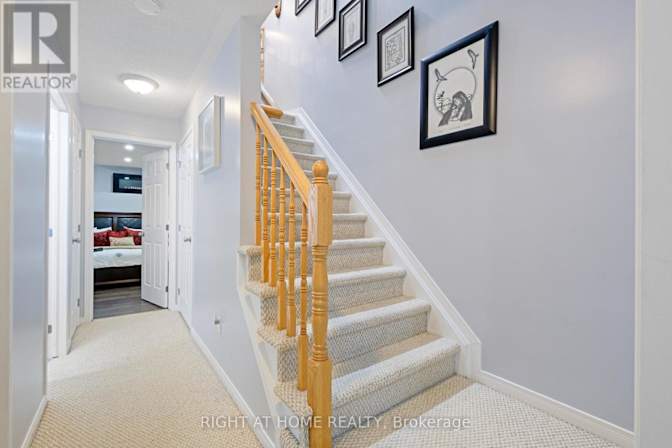 Lulu and Dino's nest's room