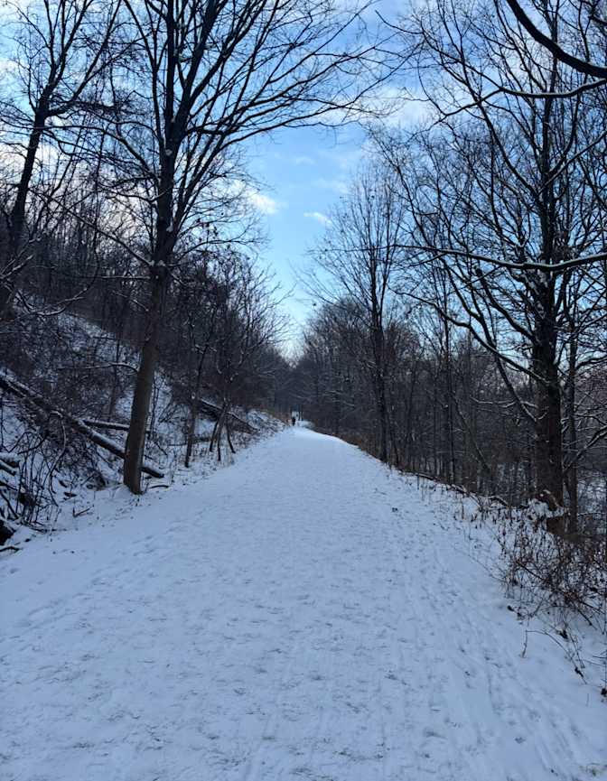 Photo of Michele's room