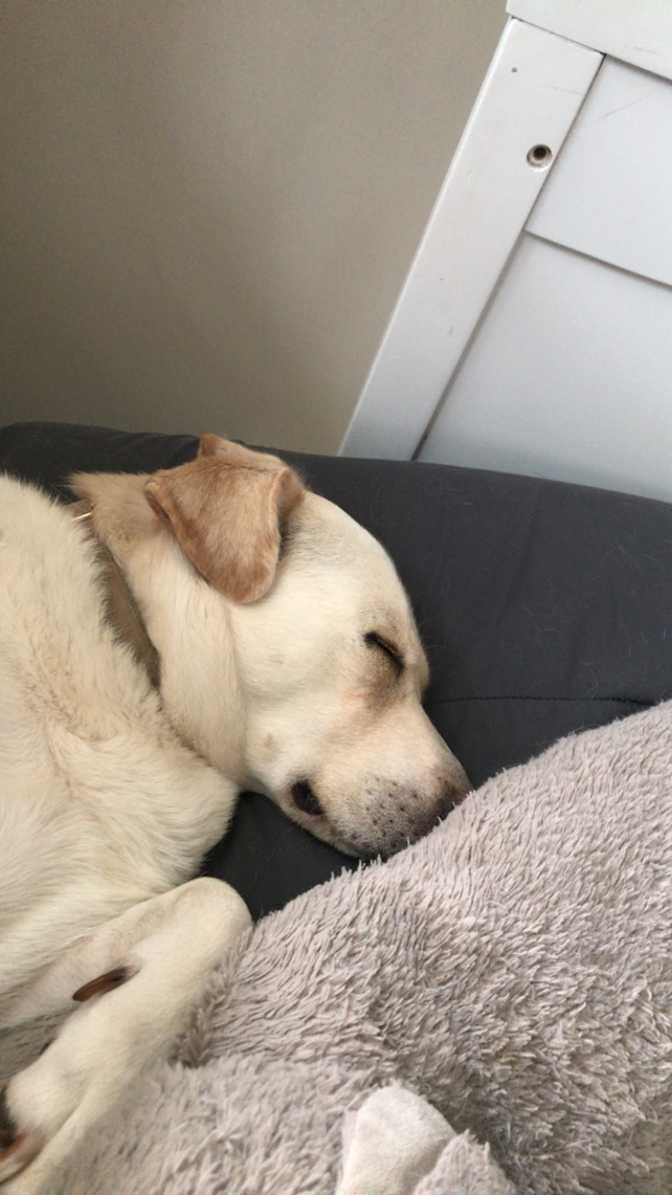 Mackenzie Goodhope's room