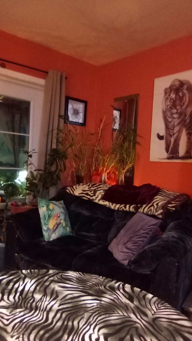 Photo of Barbara's room