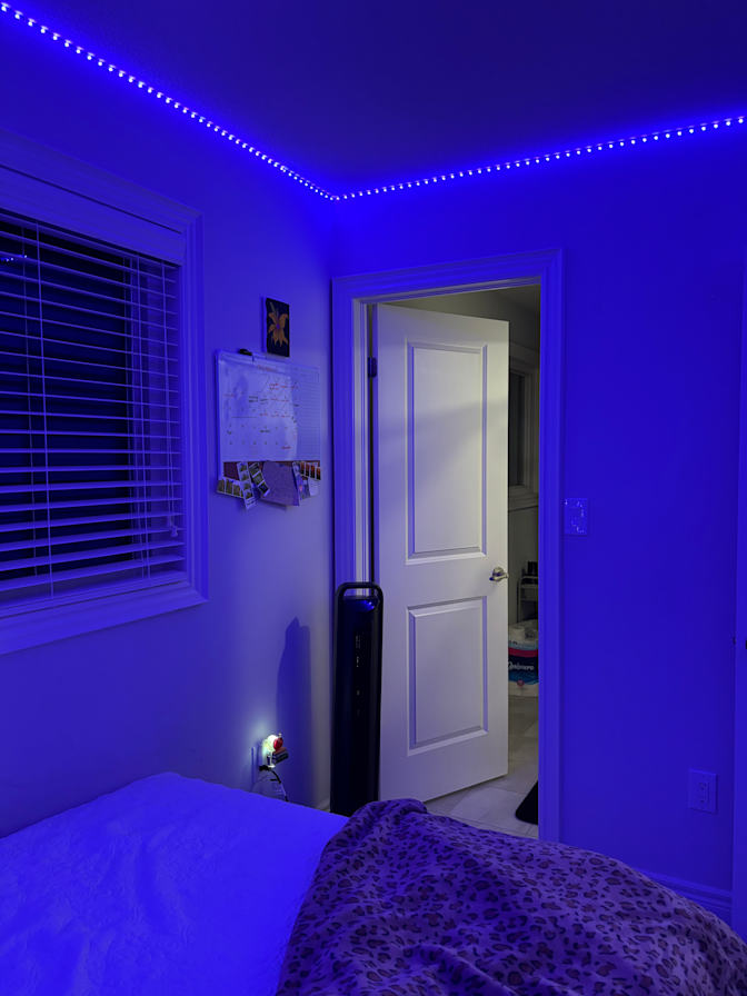 Photo of Yoshita Kumar's room