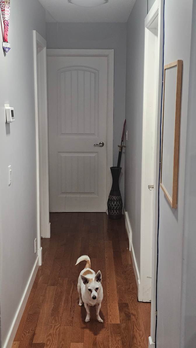 Travis Schiffers's room