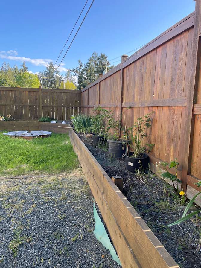 Judi Richards's room