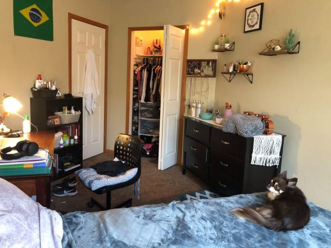 Photo of gabriela's room
