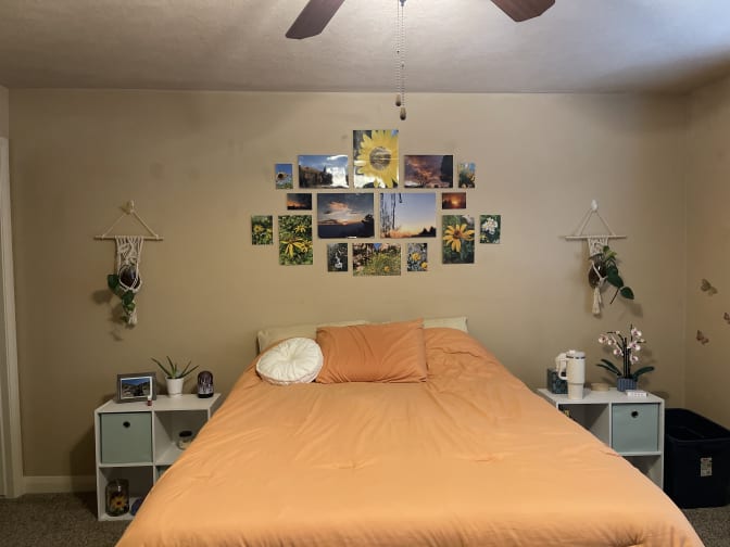 Photo of Katy's room
