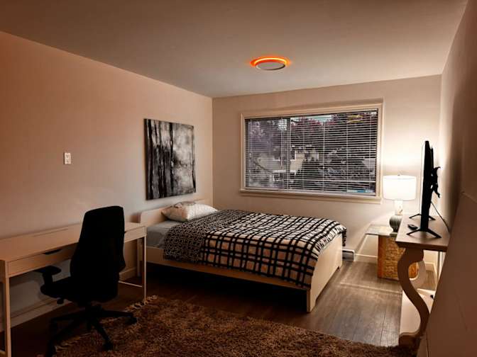 Hila Adilipour's room