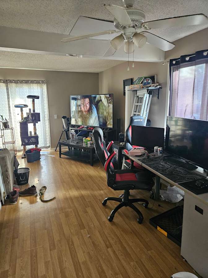 Photo of Gordon's room