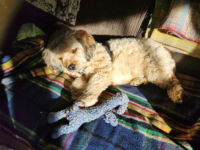 Photo of Eleri Glass's room