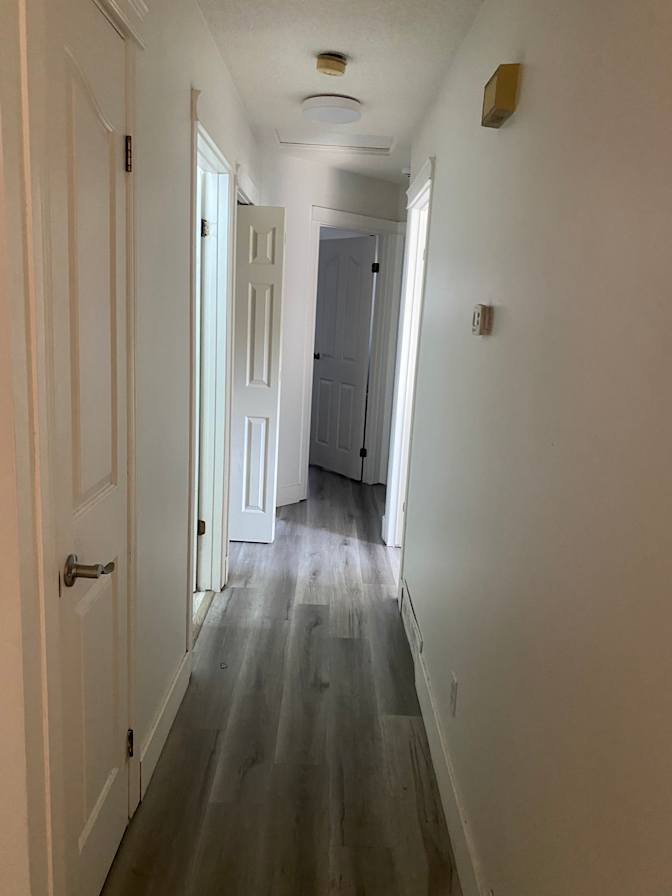 Paviter Paviter's room