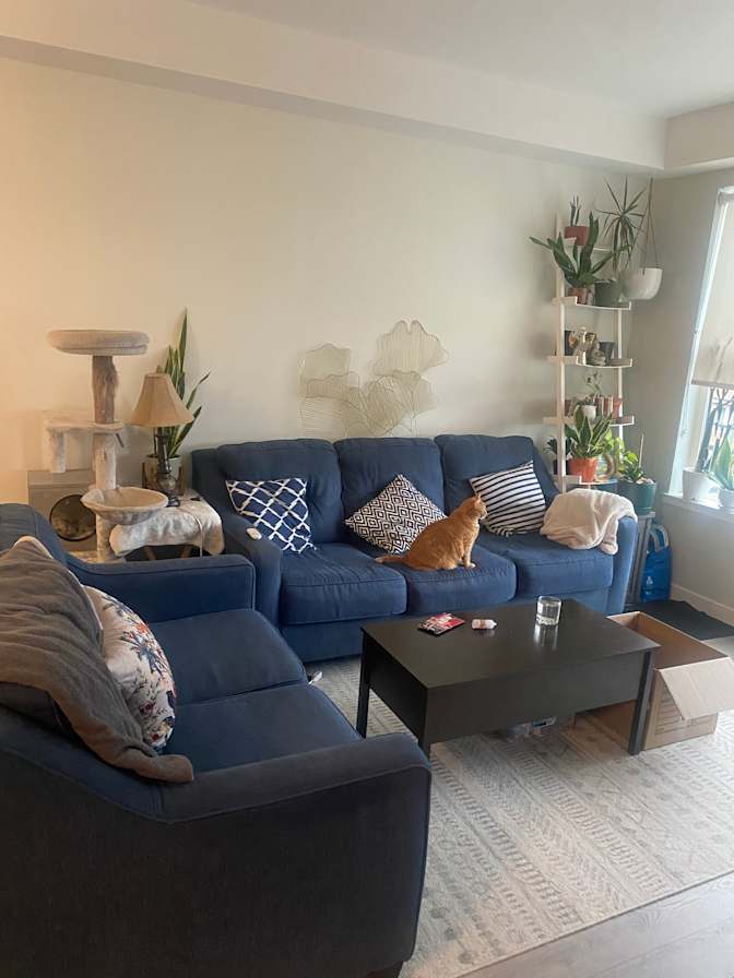 Jessica Chura's room