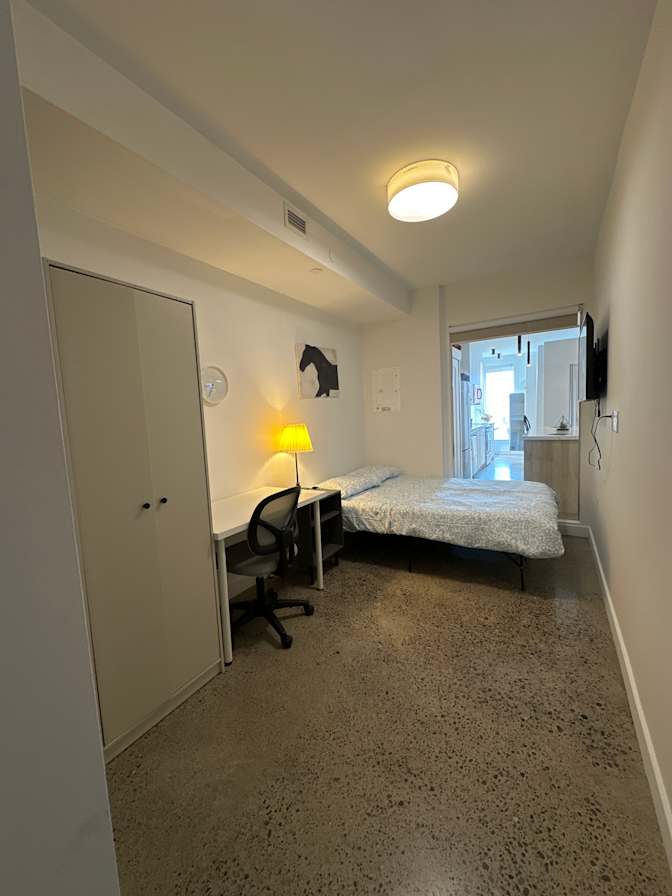 Ogeday Koskeroglu's room