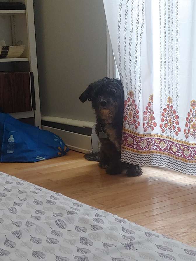 Photo of Hanspal's room