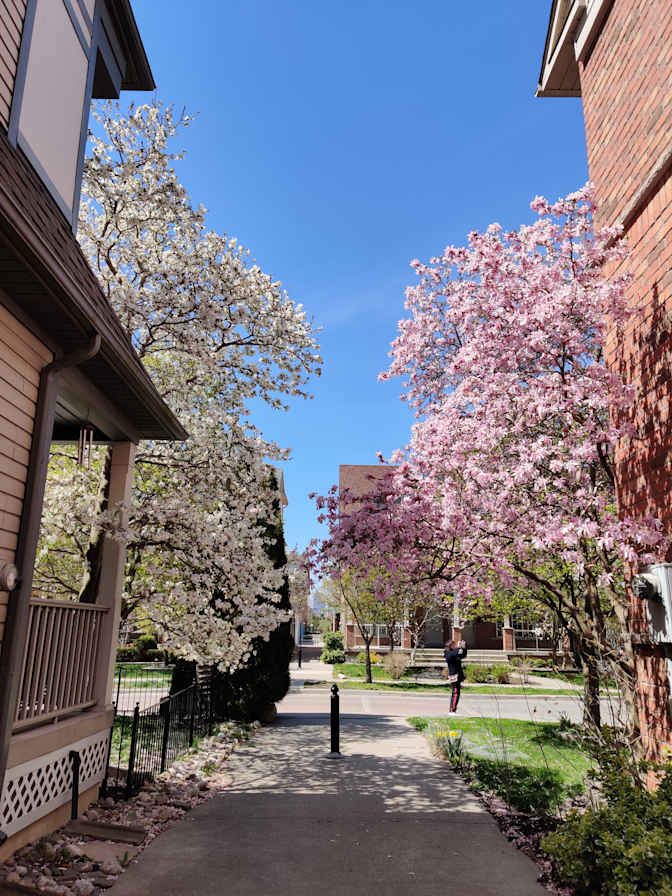 Photo of Khush's room