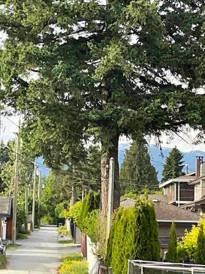 Doina Dragomir's room