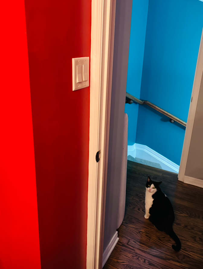 Photo of Andre's room