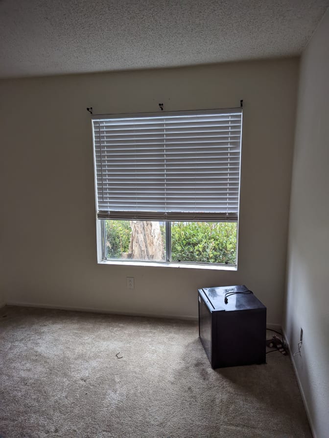 Photo of zohan's room