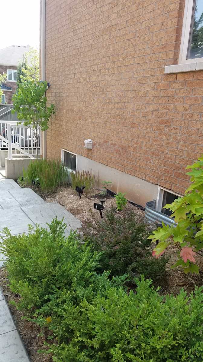 Kavesseri Raja's room