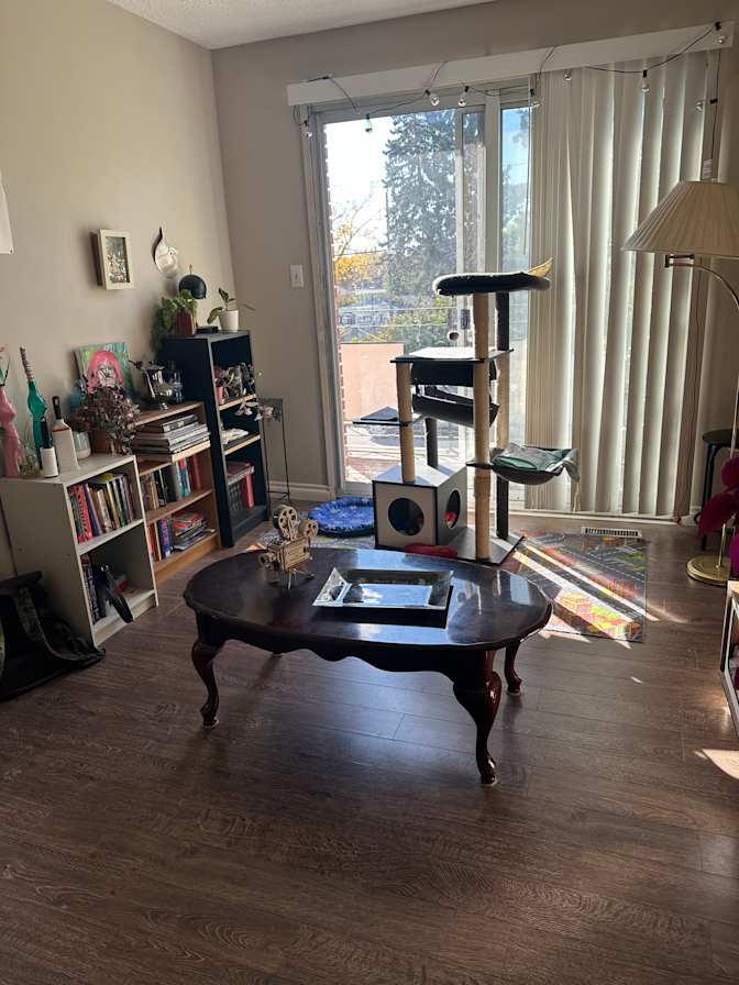 Photo of Fiore's room