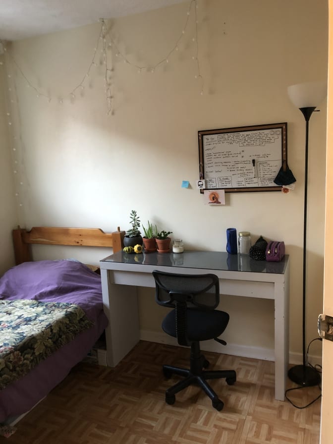Photo of Lucía & Lindsay's room