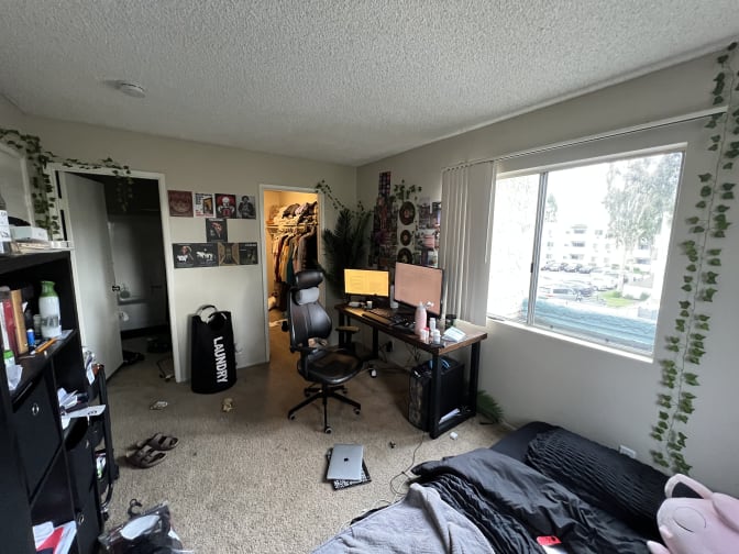 Photo of Louie's room
