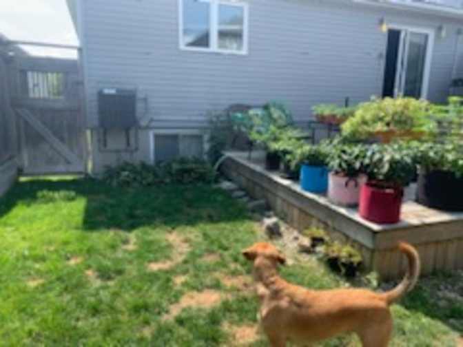 Chris Gadbois's room