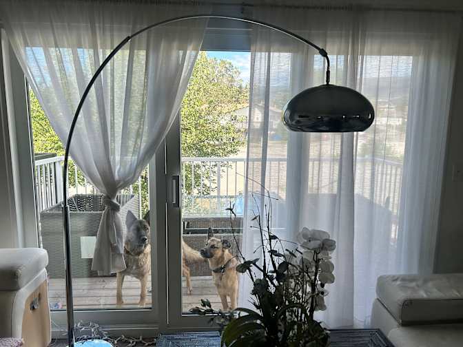 Photo of Katy Saunders's room