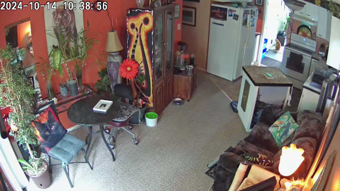Photo of Barbara's room