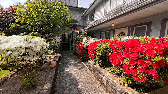 Photo of Shyloh's room