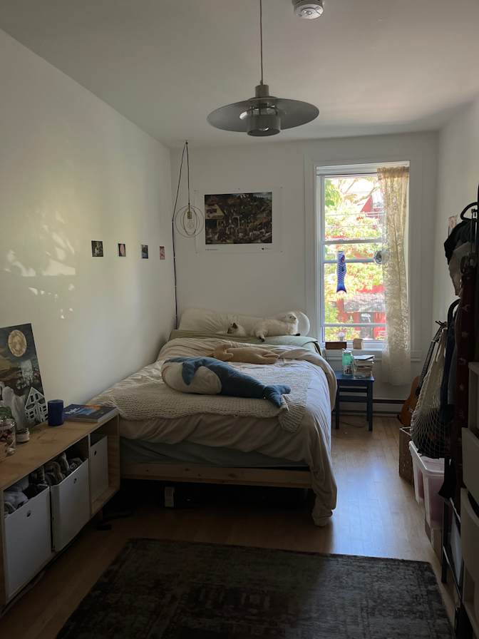Photo of Sadie's room
