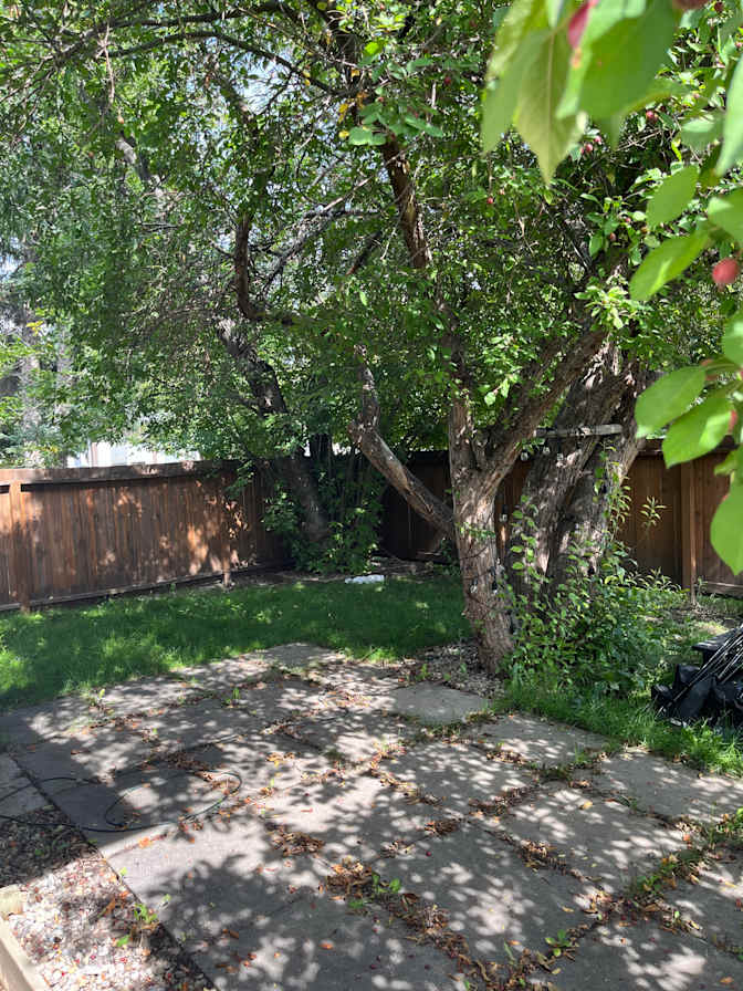 Raoof Aboulisayen's room