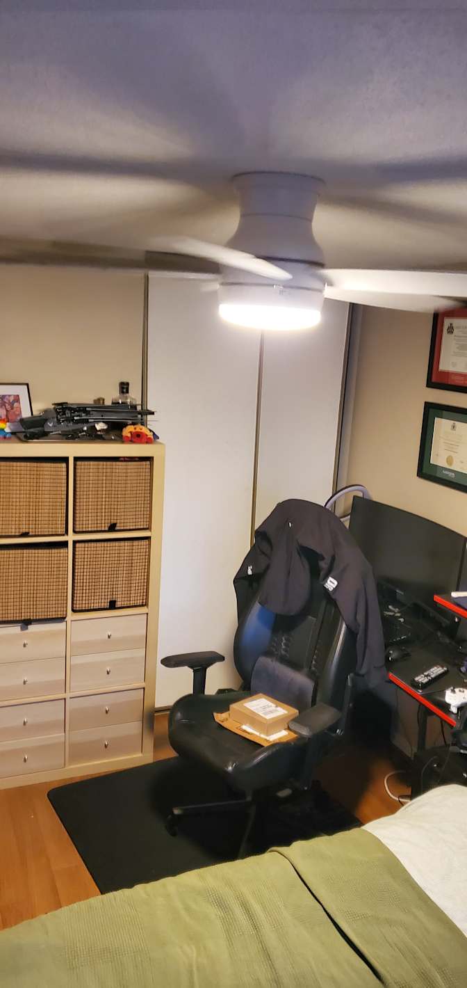 Photo of P & X's room