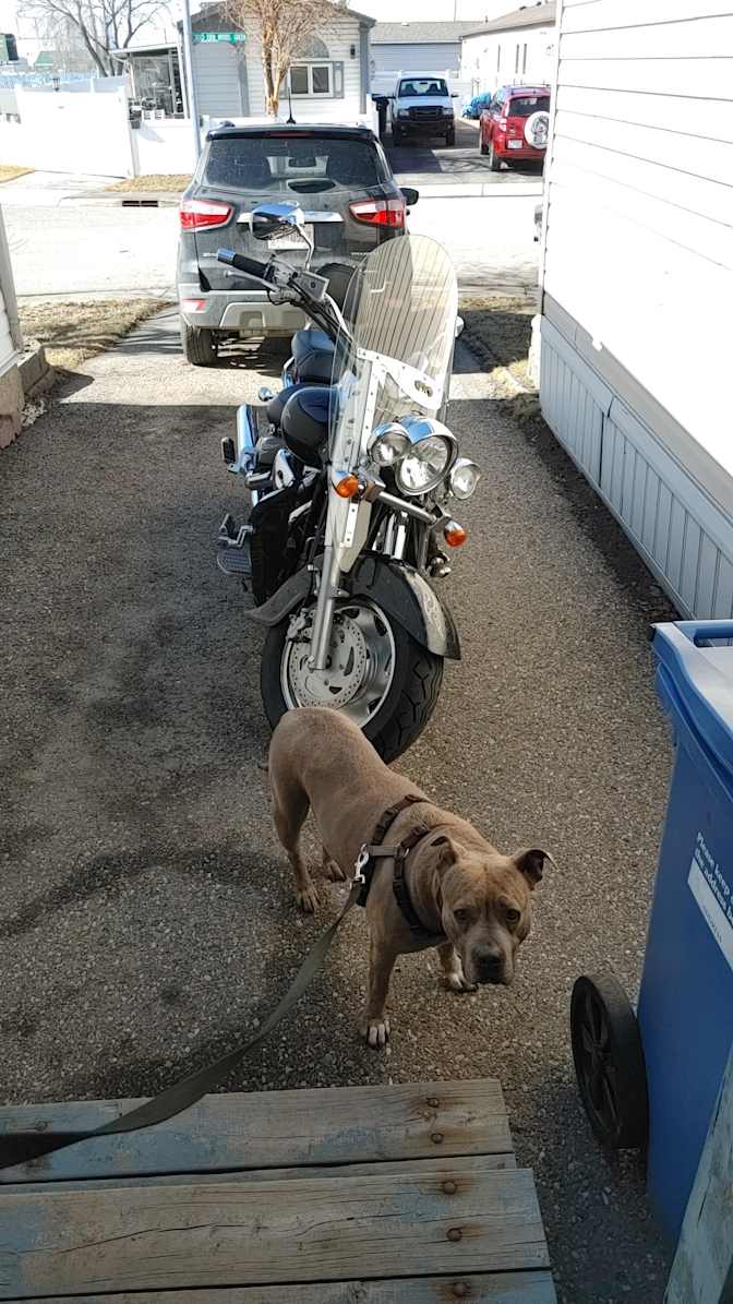 Photo of Luke's room