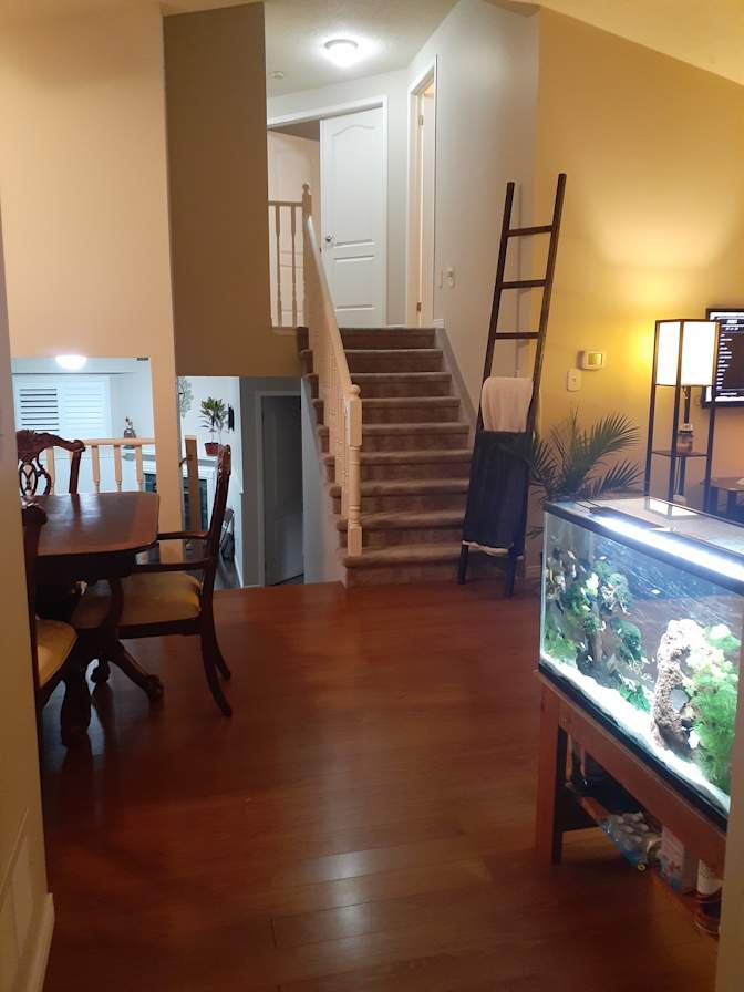 Jannis Morgan's room