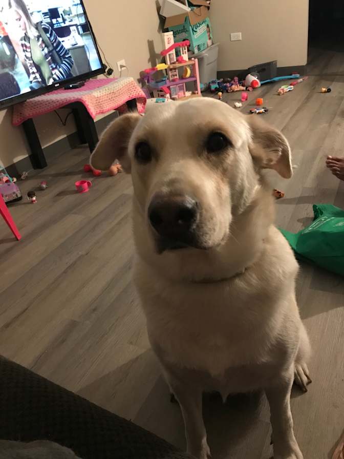 Mackenzie Goodhope's room