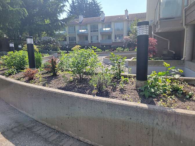 Photo of Micro Shiva's room