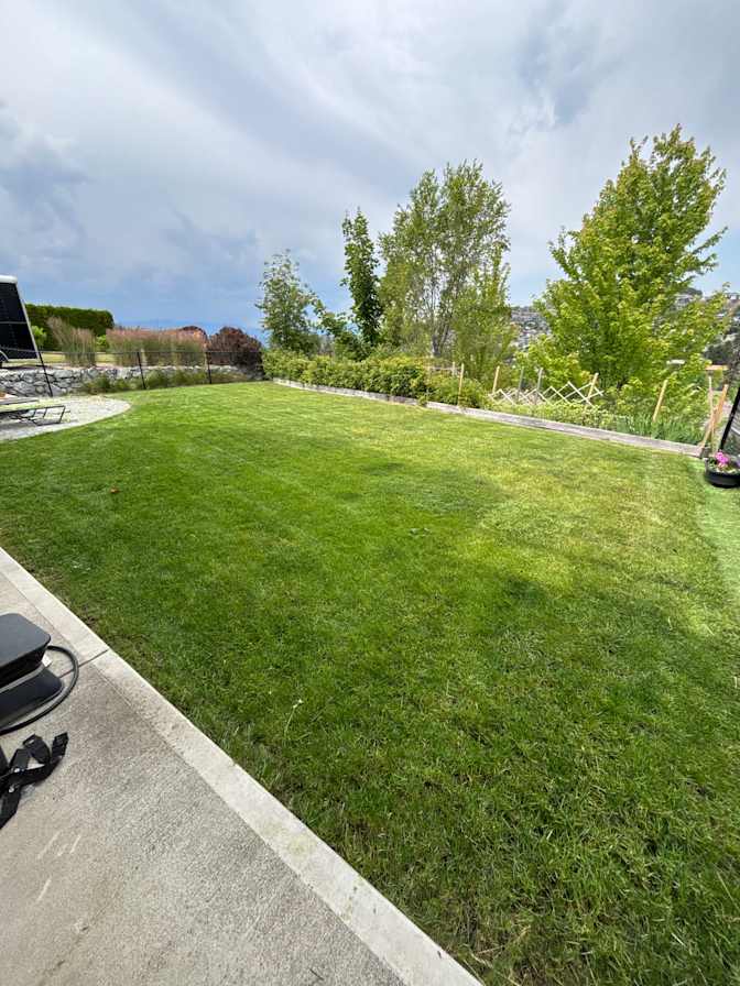 Michelle Allanson's room