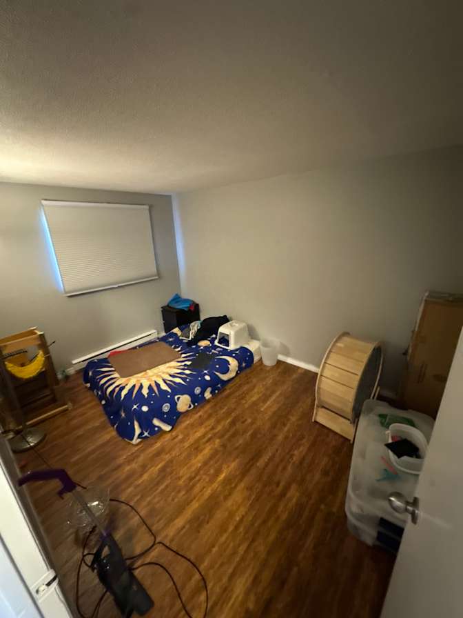 Suzanne Dresser's room