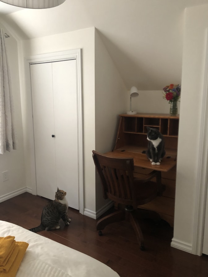 Photo of Barbara's room