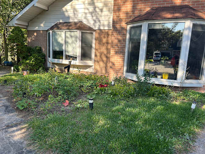 Photo of Rachel's room