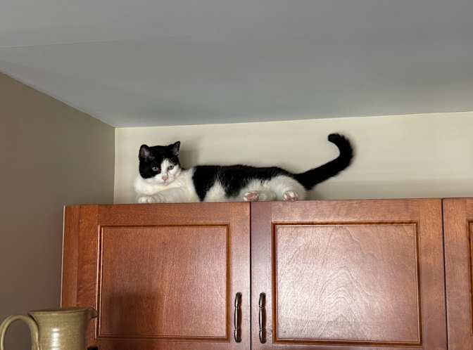 Photo of Andre's room