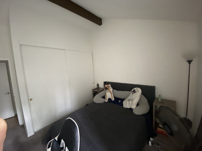 Photo of Cameron's room