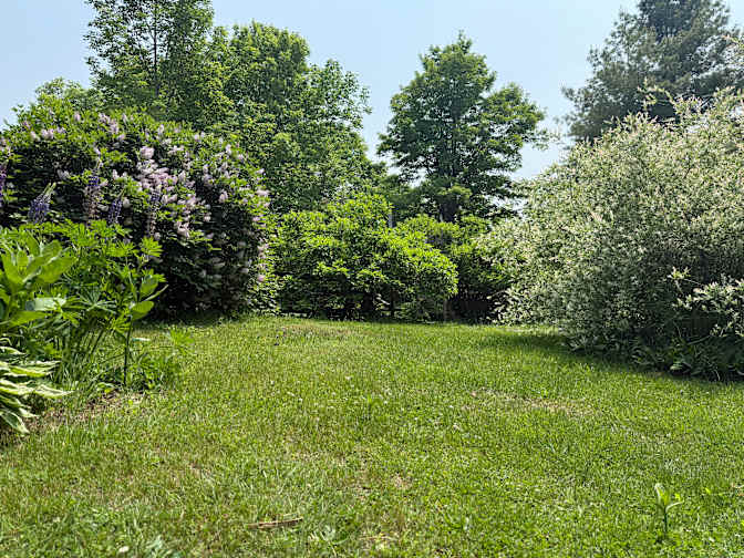 Photo of Amber's room