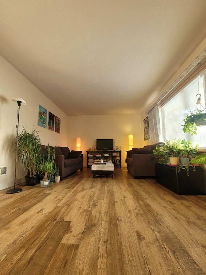 Photo of Mehdi Hasan's room