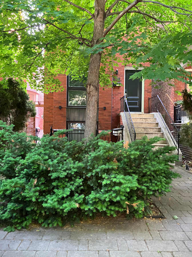 Photo of Zahraa Mahomed's room