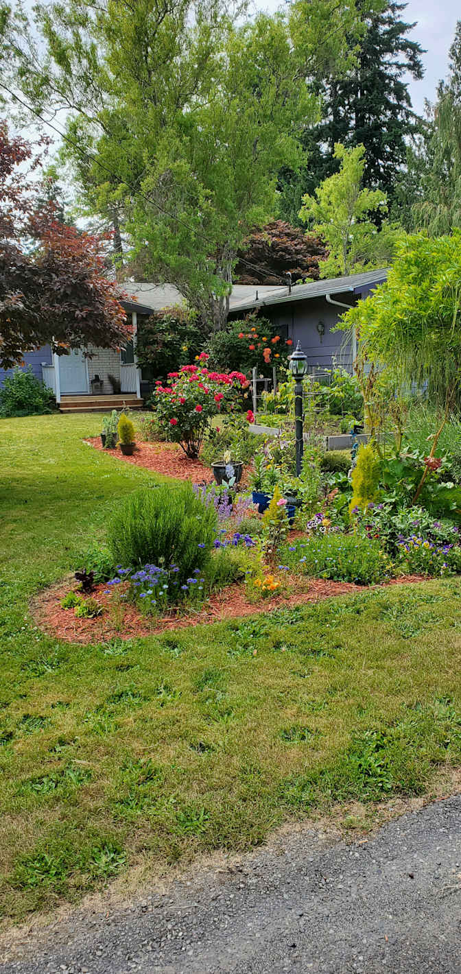 Photo of Lisa's room