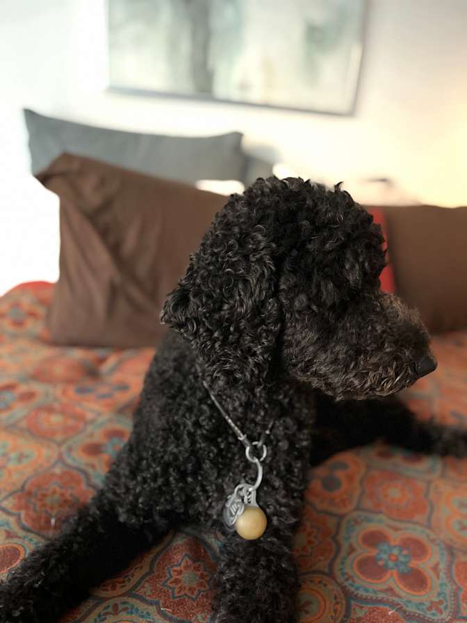 Photo of Leanne's room