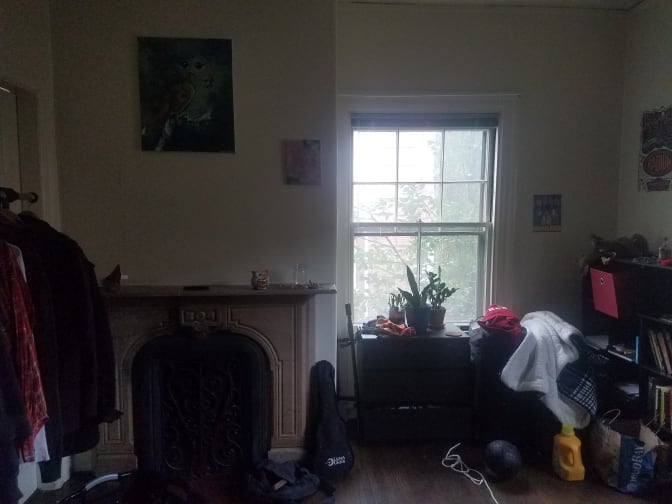 Photo of Finnley's room