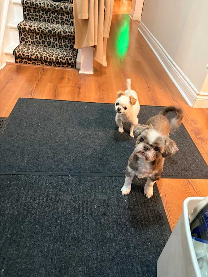 Spiritual Life's room