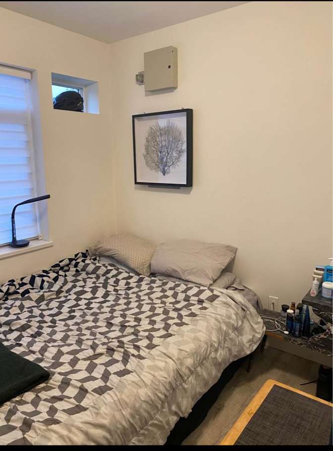 Natasha Thirsk's room